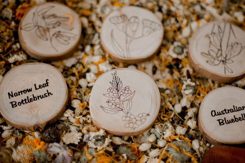 QTOYS - Australian Flora Discs - Set of 10